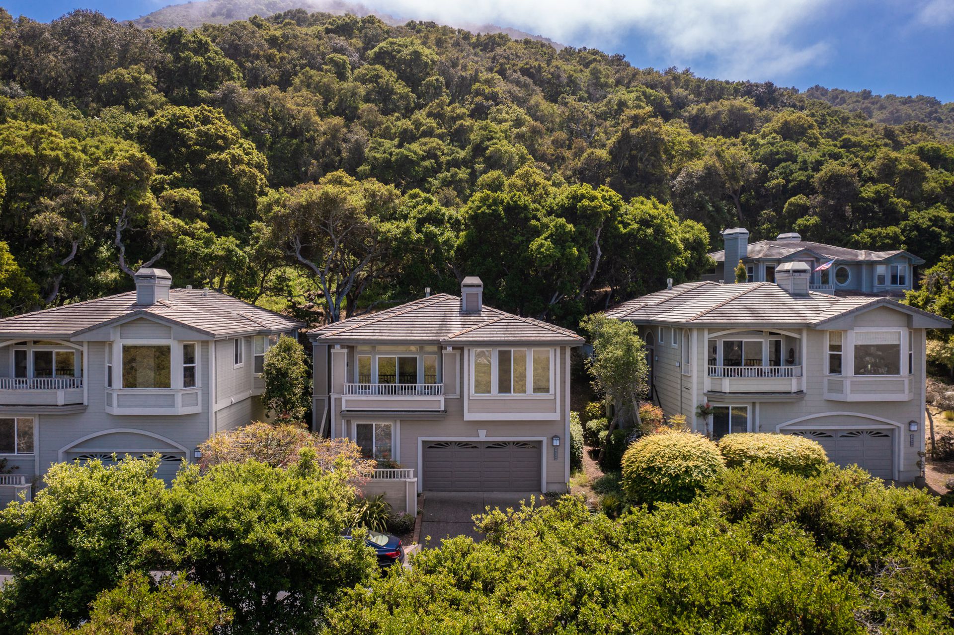 HILLSIDE Carmel Valley Vacation Home Detail Three Bed / Three Bath